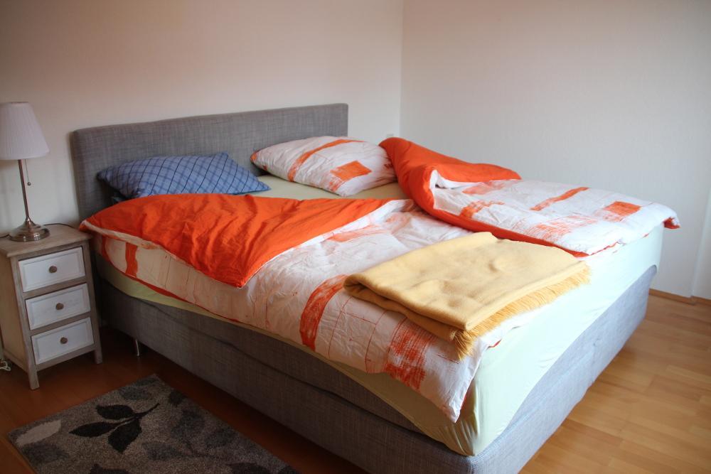 Apartment Am Fluss/Park ไลป์ซิก ภายนอก รูปภาพ